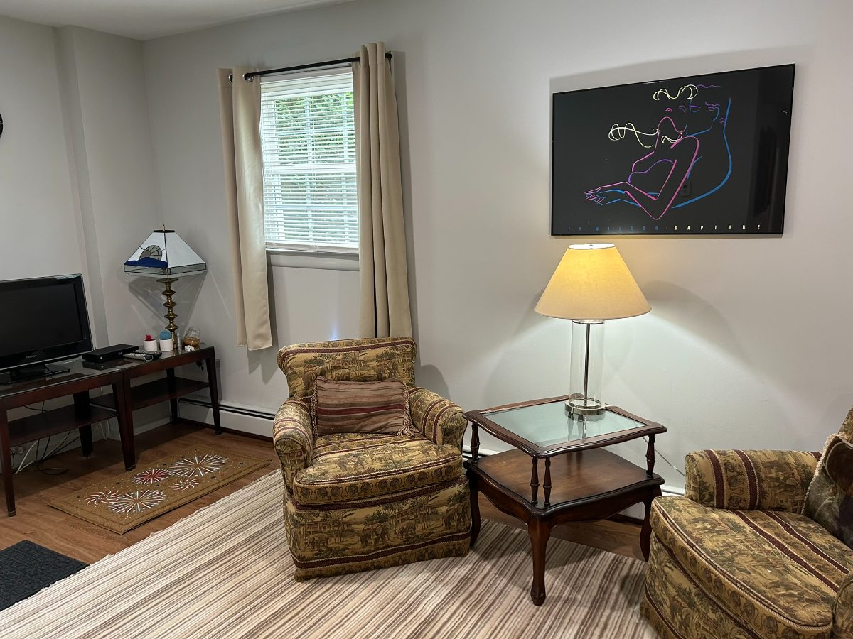 Newly Renovated 2 bedroom  apartment in Red Hook - Photo 5