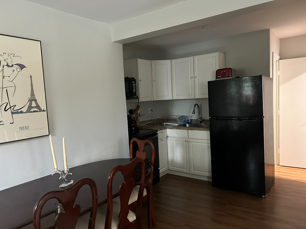 Newly Renovated 2 bedroom  apartment in Red Hook - Photo 4