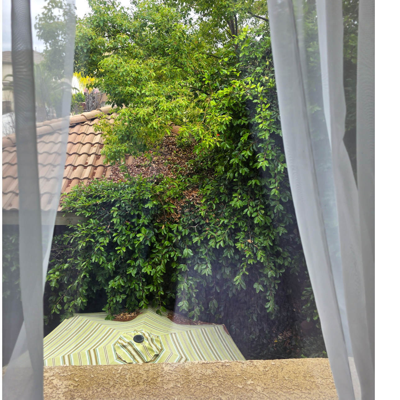 Spacious Secluded Room in French Valley - Photo 3