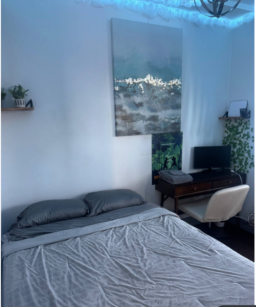 Cloud 9 Suites - Comfort & Peace in Heart of Brooklyn (Gym, Roof Access, Workspace, Fastest Wifi on  - Photo 9