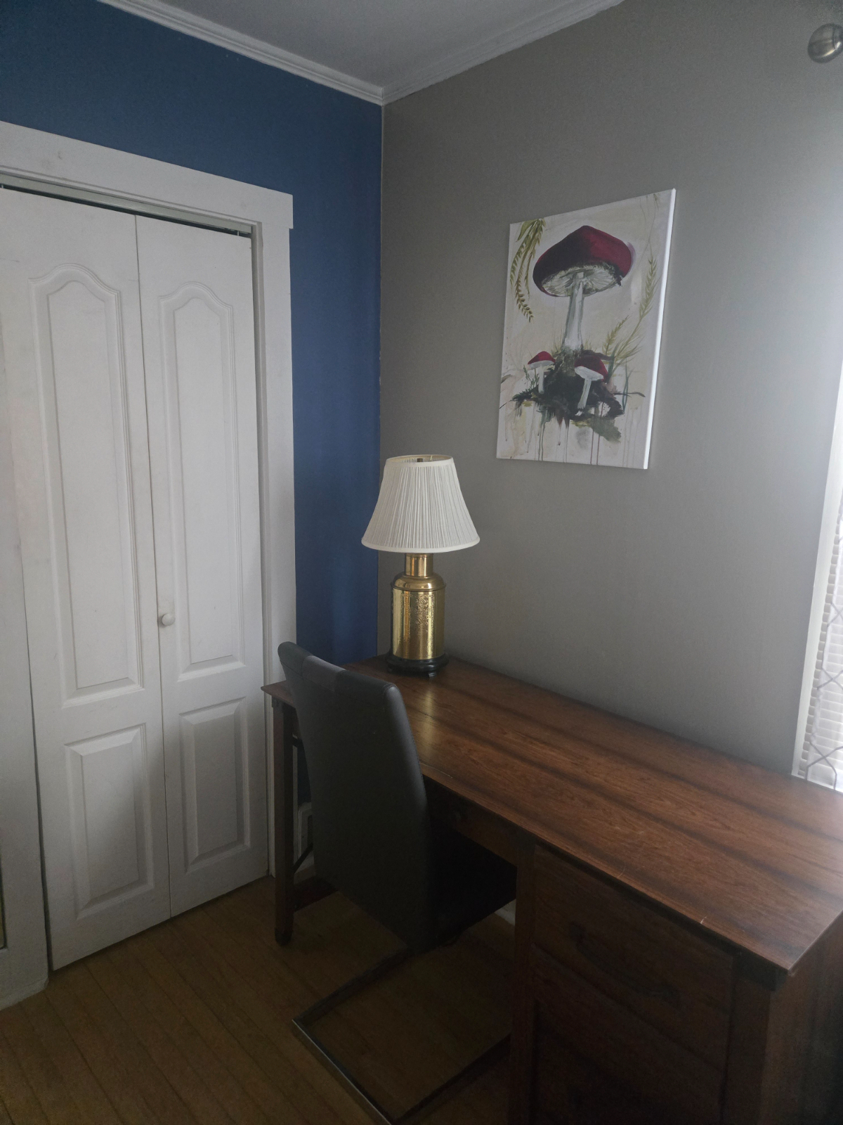 Cozy Cape - Photo 7