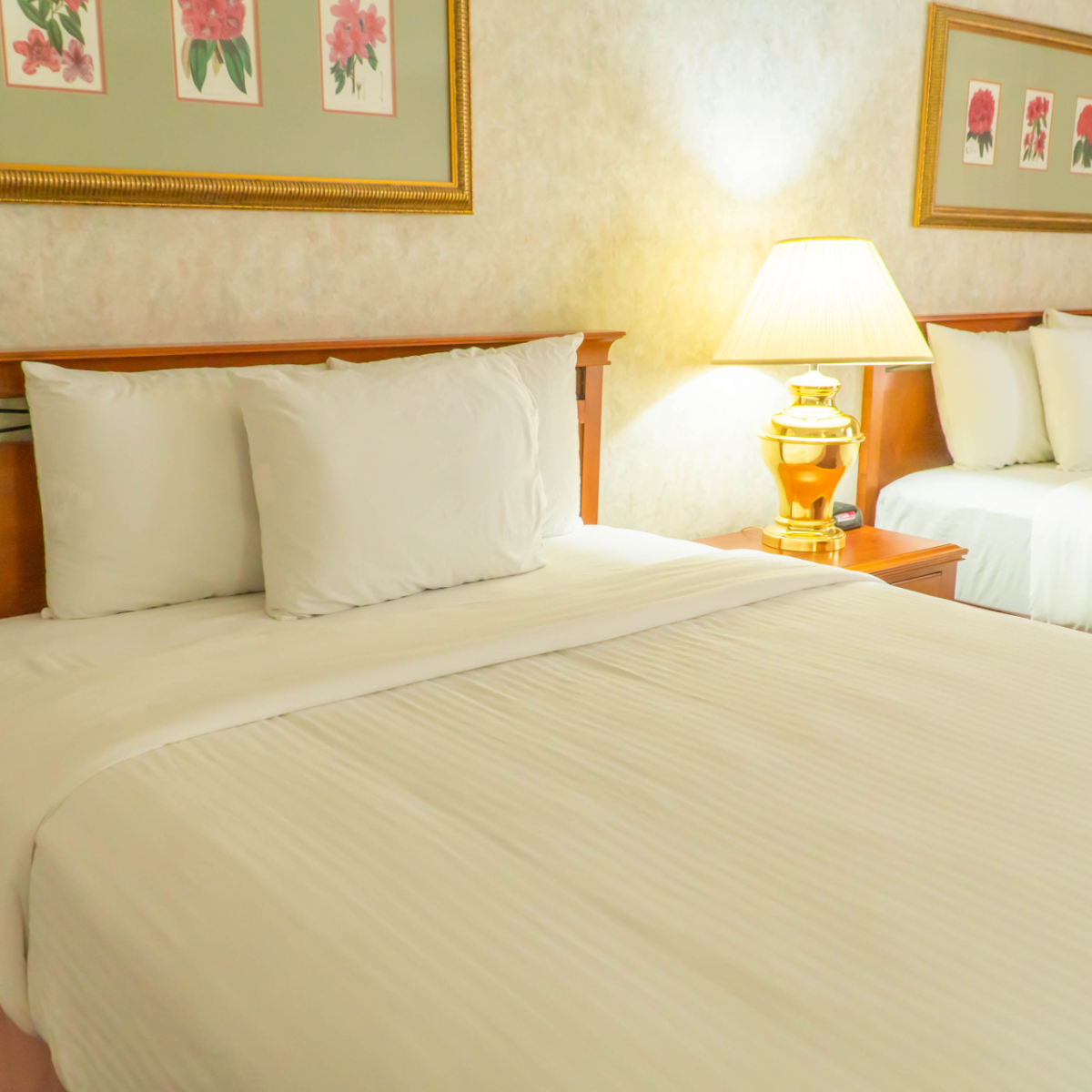 Standard King Room - Photo 2