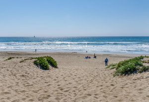 Renovated Luxurious ~600 sq ft Furnished Studio Steps from Ocean Beach and direct access to downtown - Photo 5