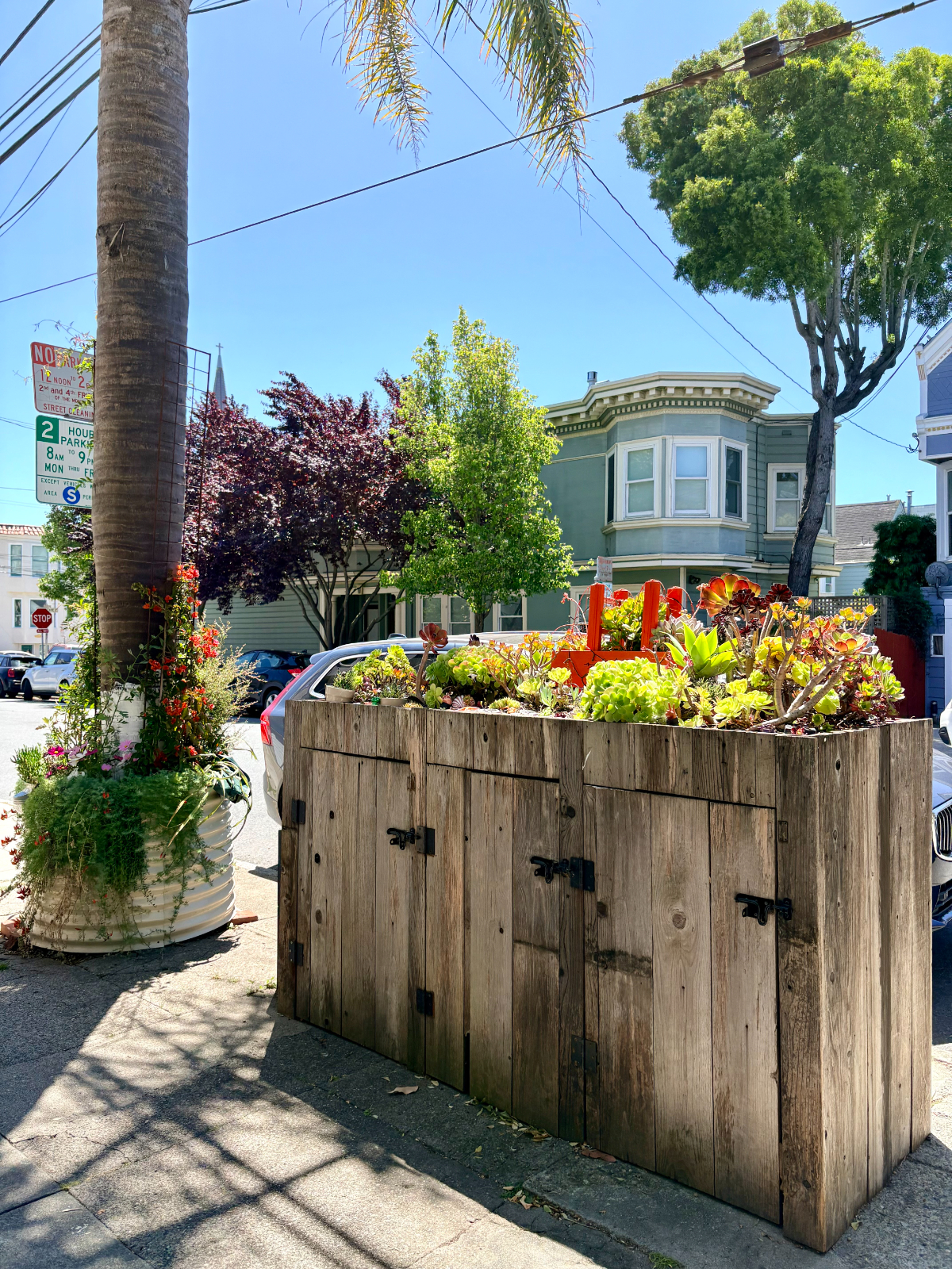 Charming Edwardian in the Heart of Noe Valley - Photo 4