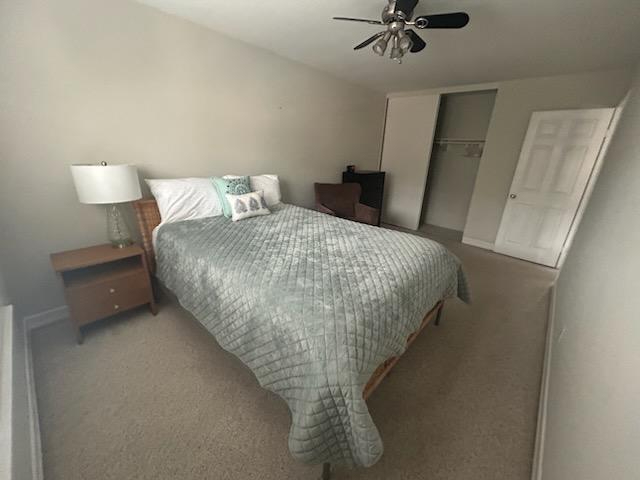Bright Private Room with Tiki Backyard Access Near Shopping, Transit, and Local hospitals. - Photo 4
