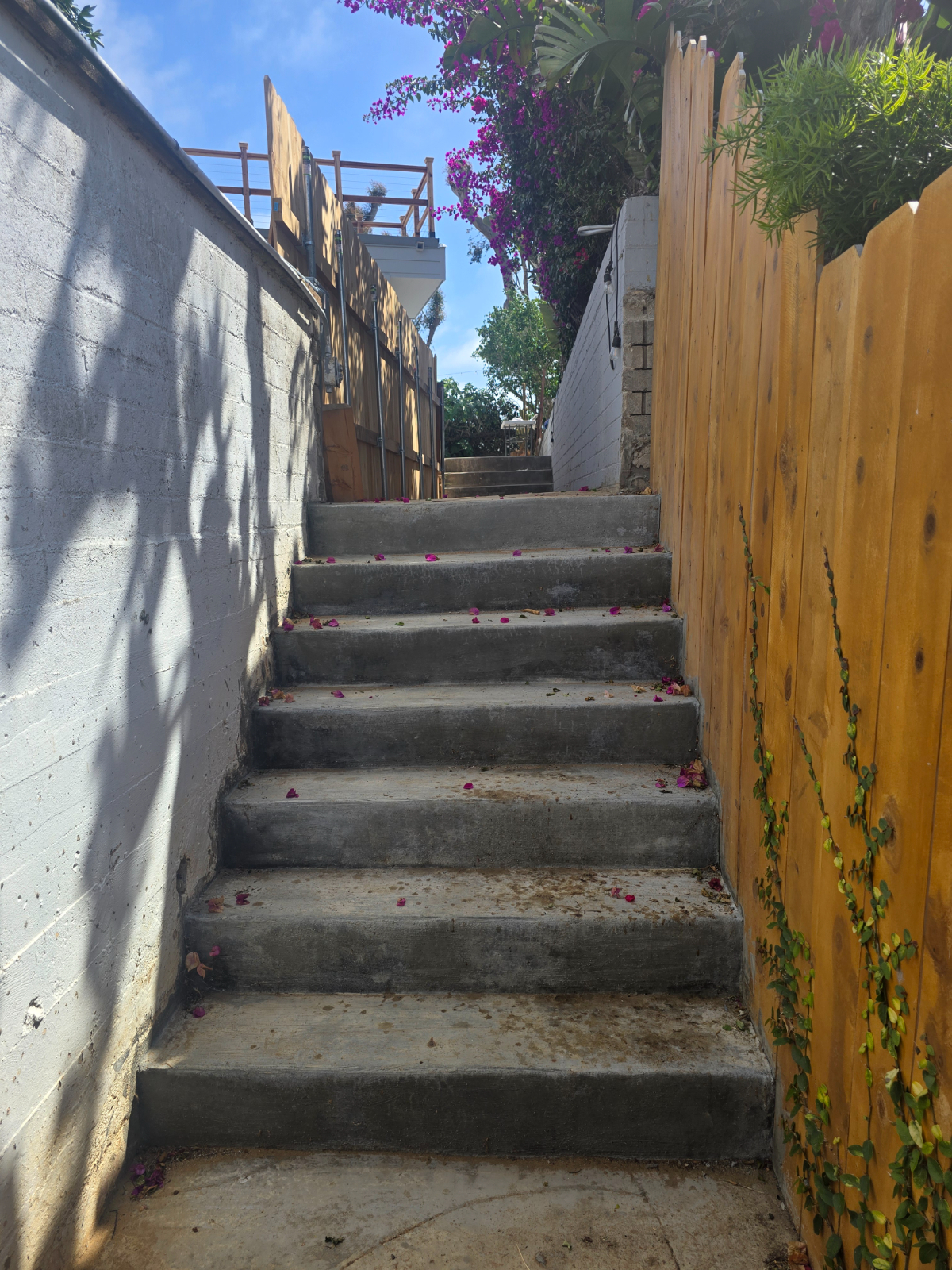 Point Loma Stunning New build w rooftop deck Panoramic Views - Photo 3