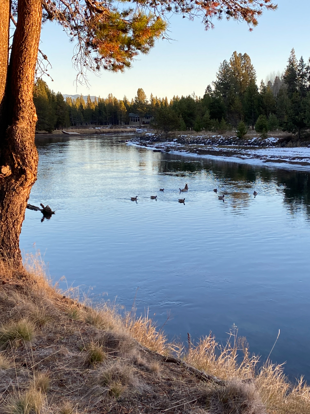 On the Deschutes River TownHome 20 miles from Bend, 26miles to Mt Bachelor Bend Oregon - Photo 5