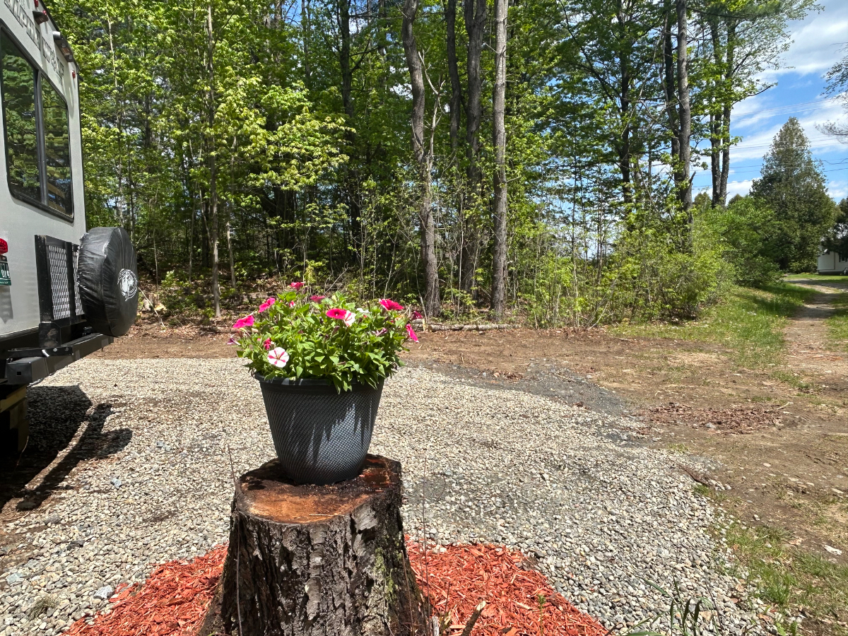 Private 1 Bedroom, Full Hook up W/E, Sewer, Cable & Wi-Fi - Photo 2