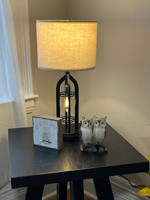Utilities Paid, Furnished Cozy 2 BR Downtown Apartment - Photo 3