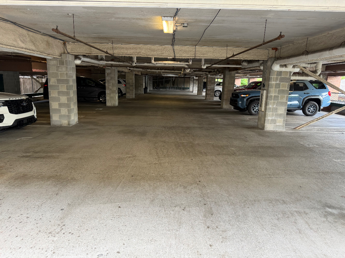 Refined 2-BR Riverview Executive Condo w/ Private Sauna, Luxury Finishes & Walkable Access to WVU &  - Photo 8