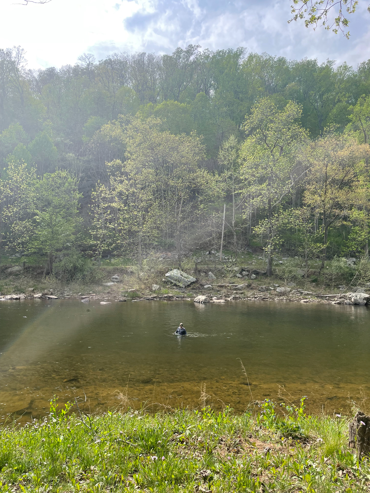 Waterfront Cabin Escape | Clear waters & Great Fishing - Photo 4