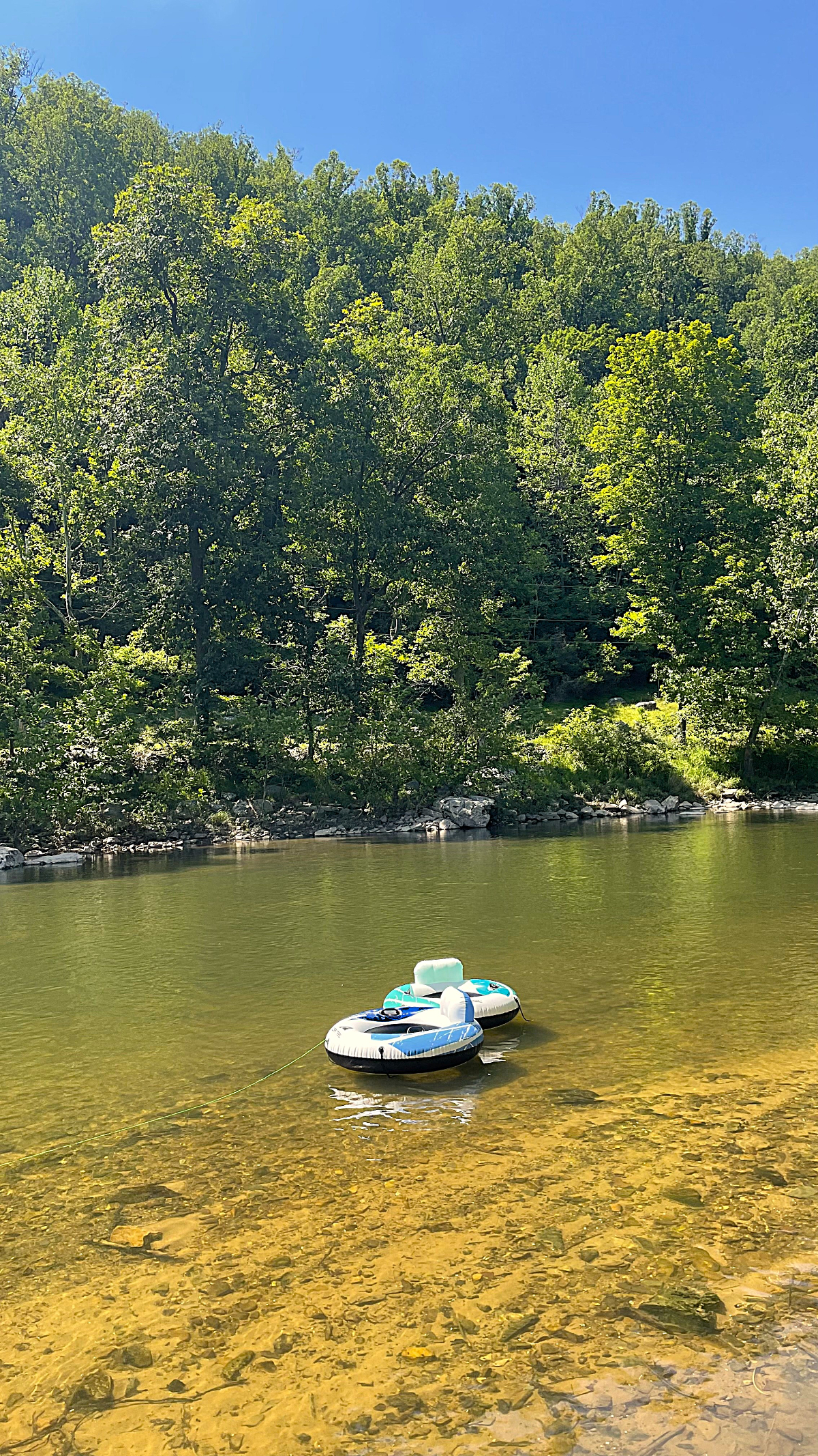 Waterfront Cabin Escape | Clear waters & Great Fishing - Photo 5