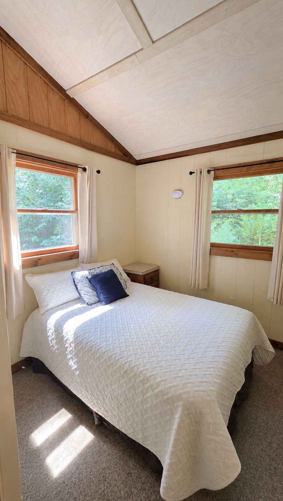 Waterfront Cabin Escape | Clear waters & Great Fishing - Photo 11