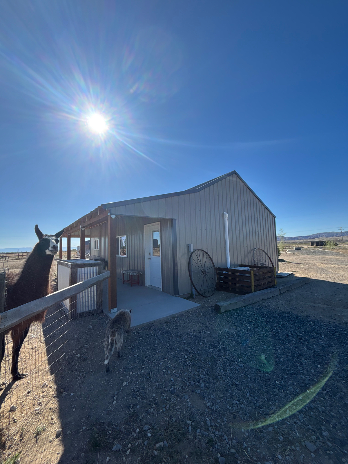2 bedroom cottage with llamas out your door - Photo 3
