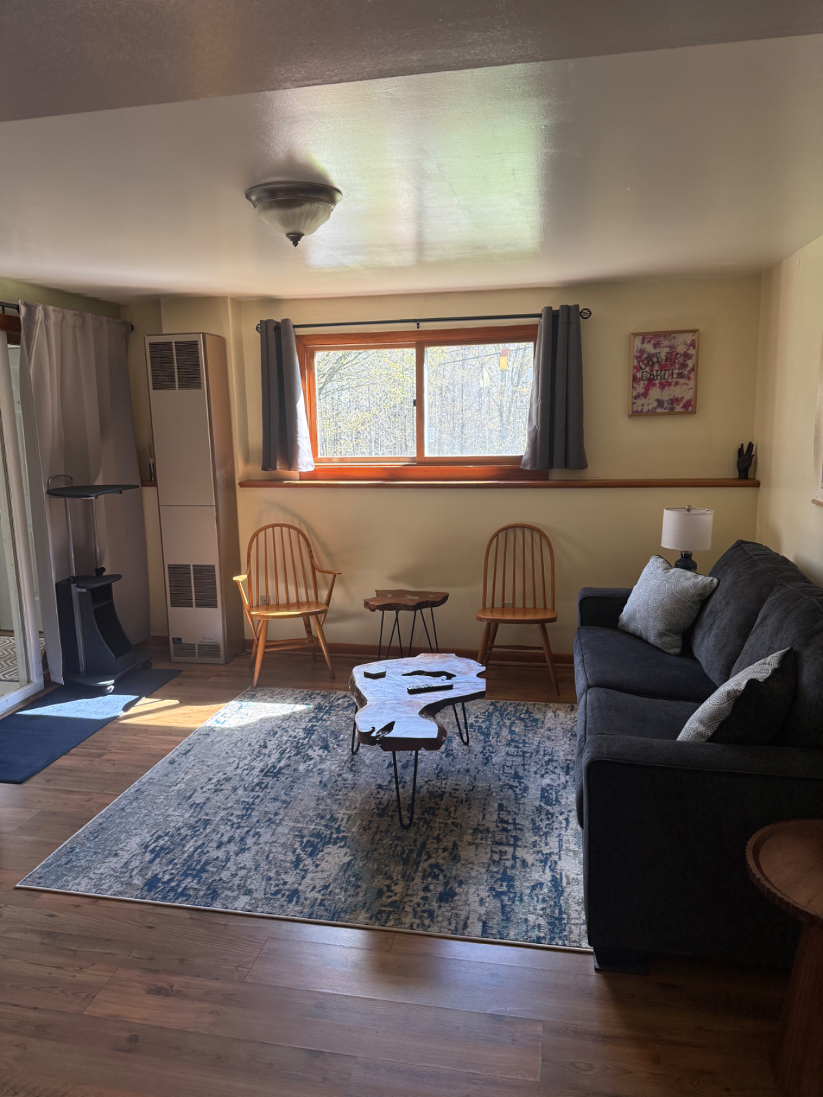 Peaceful, private, woodsy Middlesex 1 BR - Photo 5