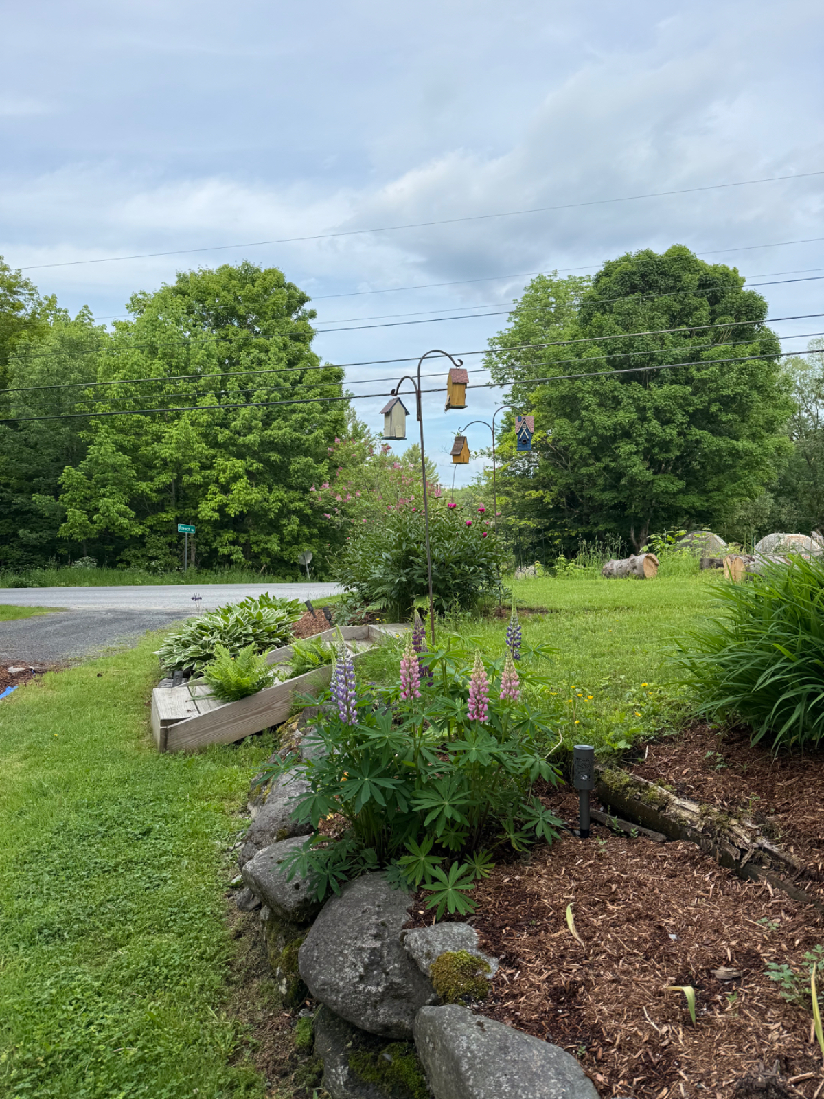 Peaceful, private, woodsy Middlesex 1 BR - Photo 8
